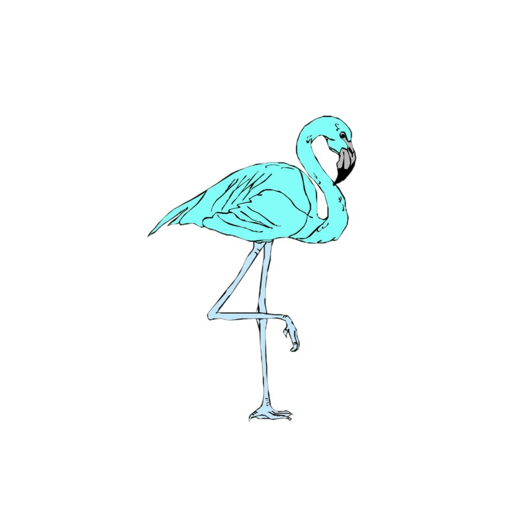 Acervo Flamingo Azul